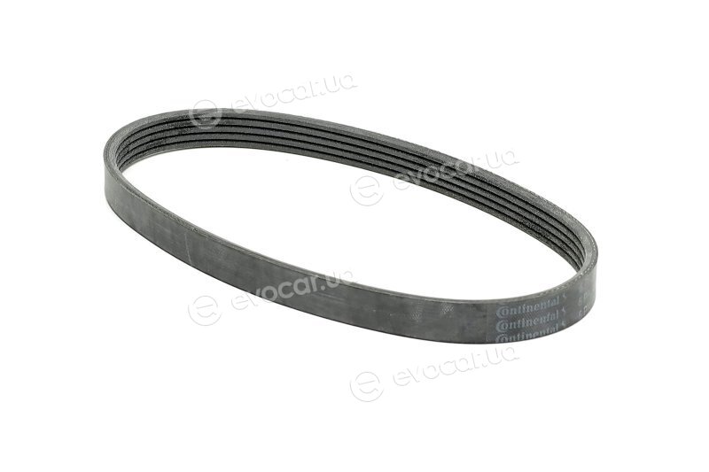 Continental 5PK595 ELAST