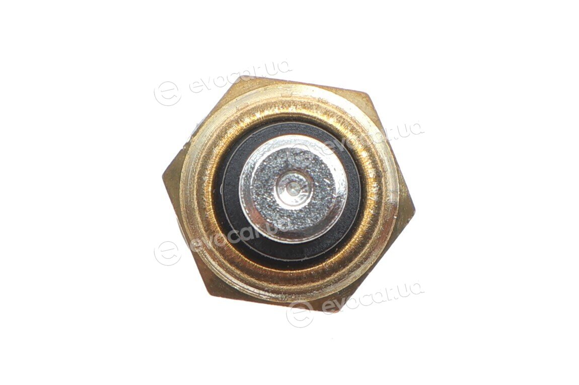 Delphi TS10256