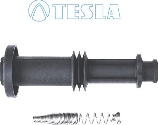 Tesla CP078