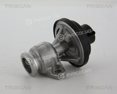 Triscan 8813 29034