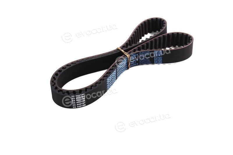 Dayco 94463