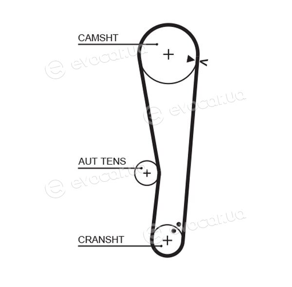 Gates K015568XS