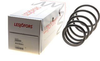 Lesjofors 4092548