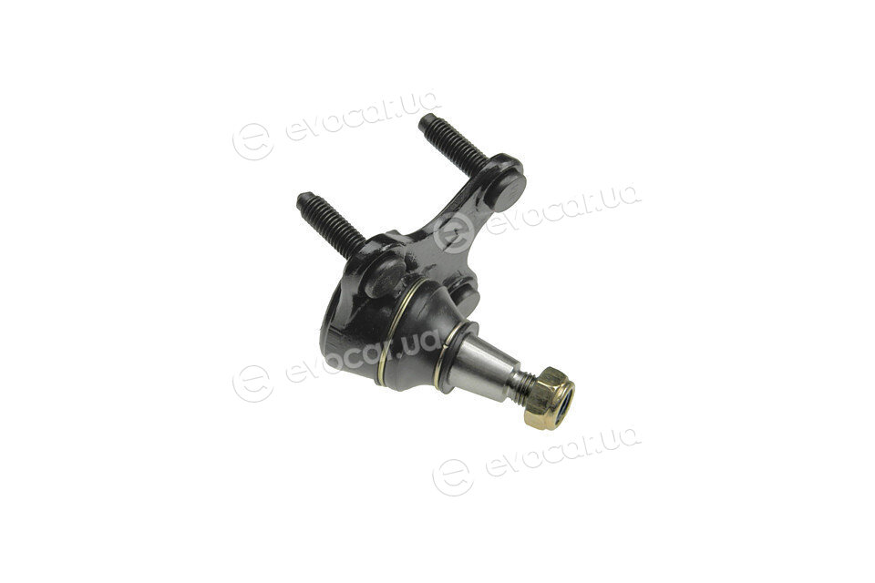 NTY ZSD-VW-010
