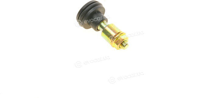 Solgy 306172