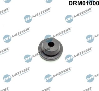 Dr. Motor DRM01000