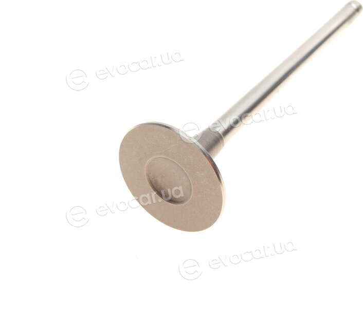 AMP PCHE008A0D