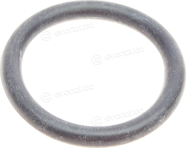 Solgy 113017