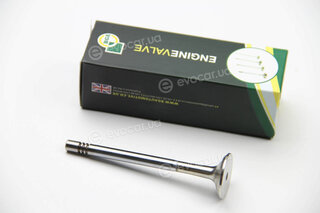 BGA V171014