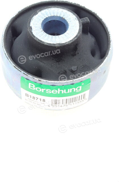 Borsehung B18718