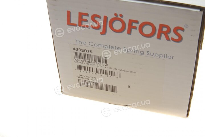 Lesjofors 4295075