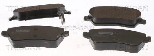 Triscan 8110 69017