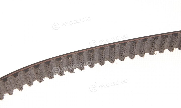 Gates K035565XS