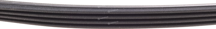 Continental 4PK830 ELAST