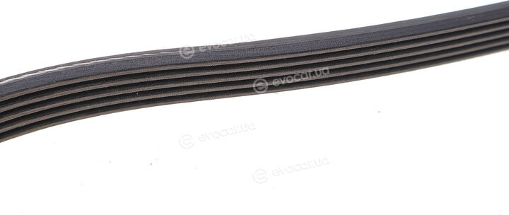 Dayco 5PK1013