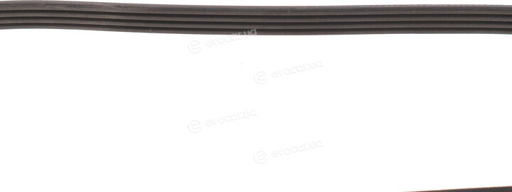 Dayco 4PK853