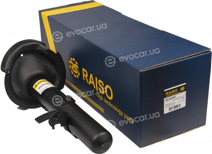 Raiso RS242907