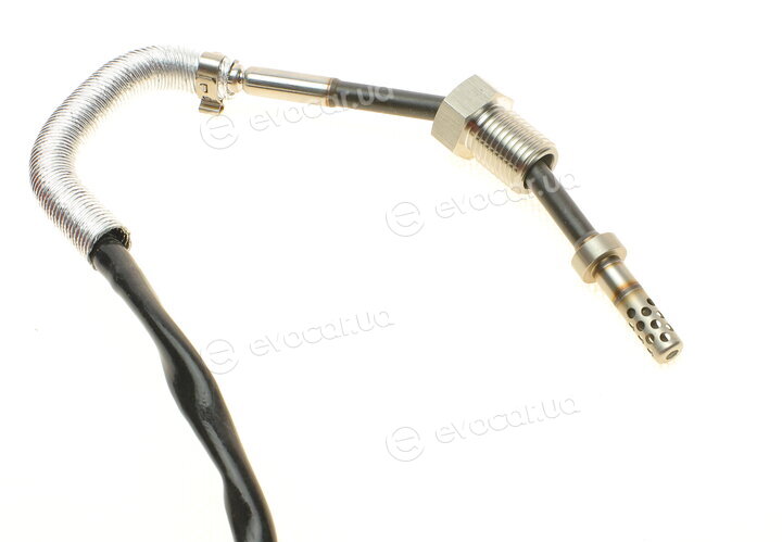 Solgy 115093