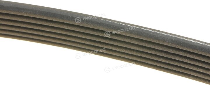 Dayco 6PK1692