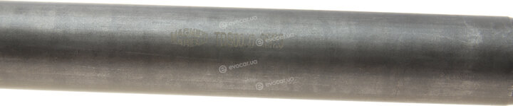 Magneti Marelli 302004190050