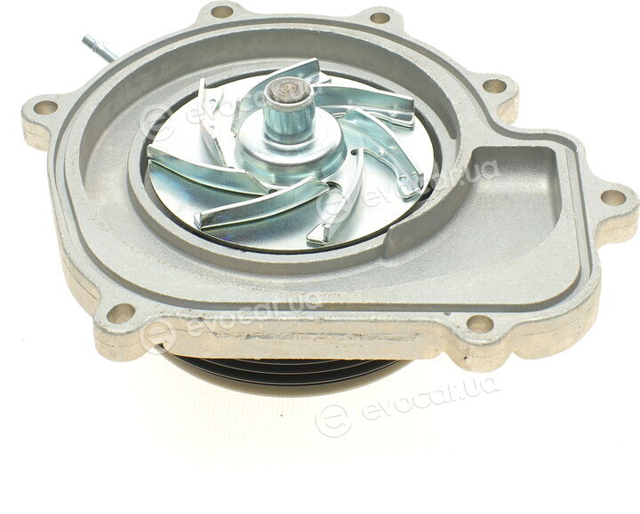 Hepu P1513