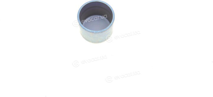 Dayco KTBWP5171