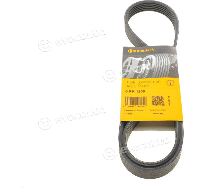 Continental 6PK1205