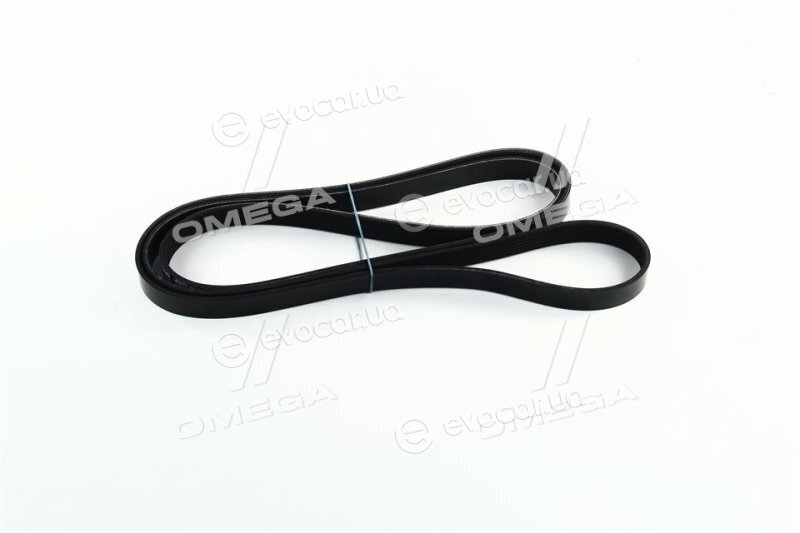 Dayco 6PK2210