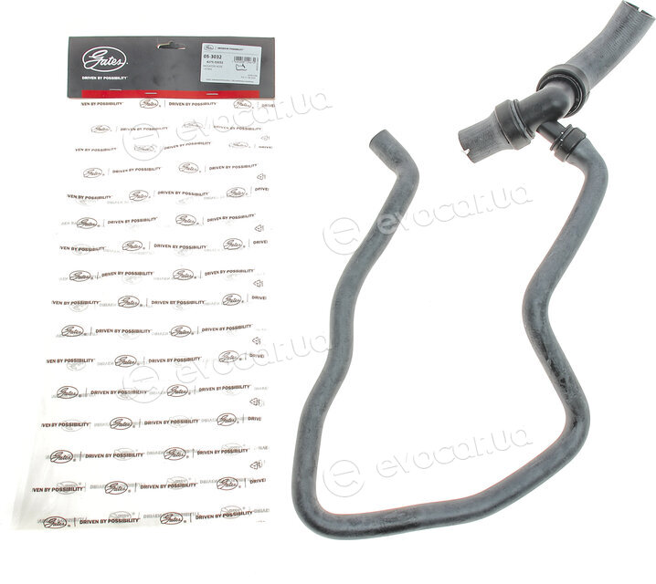 Gates 05-3032