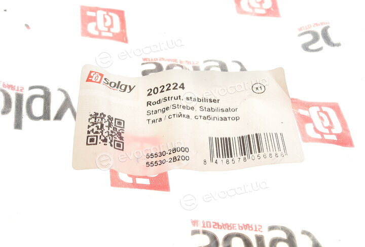 Solgy 202224