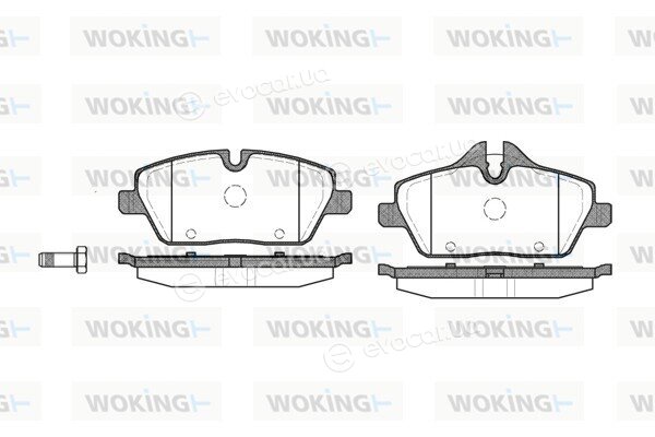 Woking P10313.00