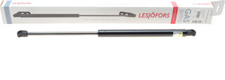 Lesjofors 8104246