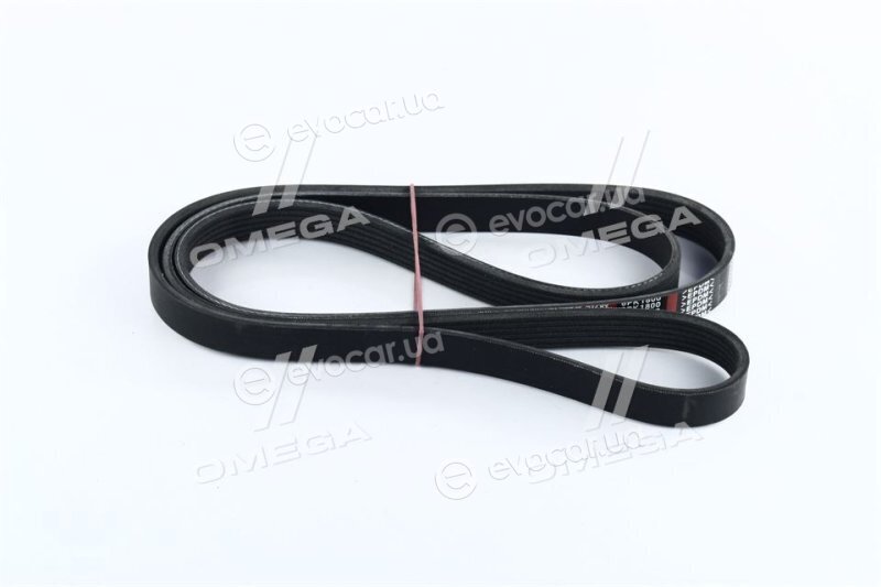 Dongil 6PK1800