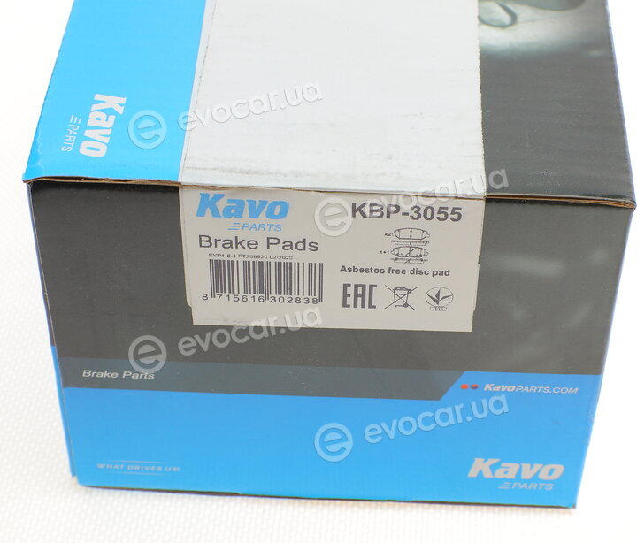 Kavo KBP-3055