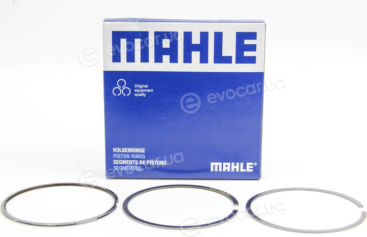 Mahle 030 31 N0