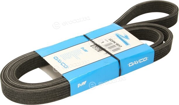 Dayco 6DPK1853