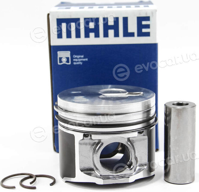 Mahle 009 79 04