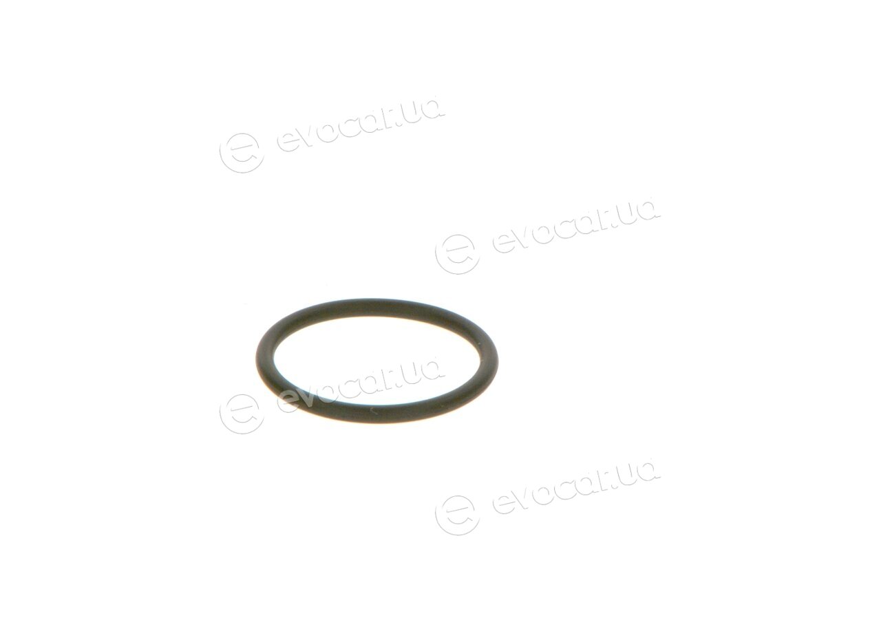 Bosch F 00V C38 042
