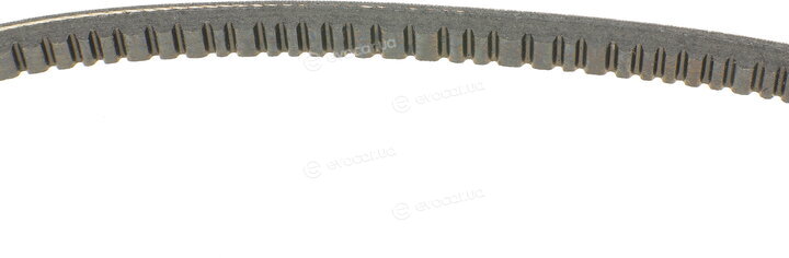 Continental 11,5X685Ld