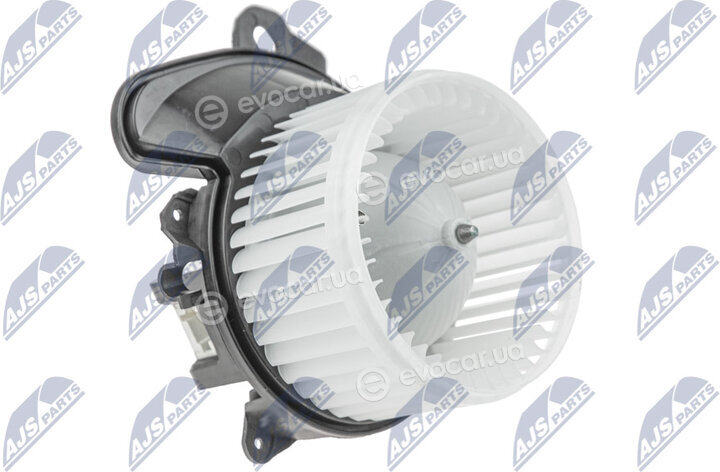NTY EWN-PL-001