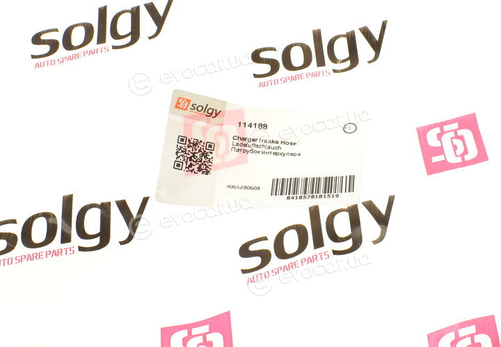 Solgy 114188