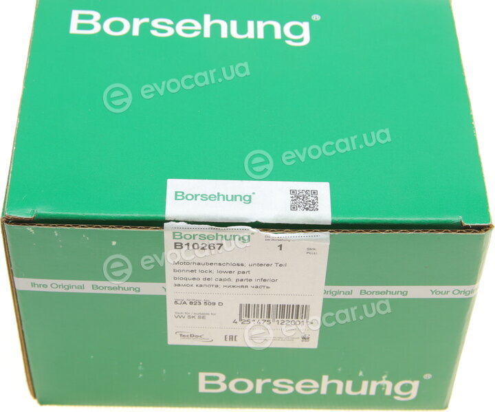 Borsehung B10267
