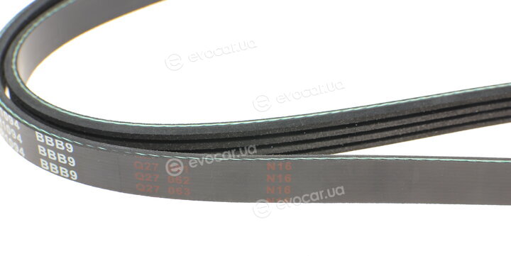 Blue Print AD04R1094