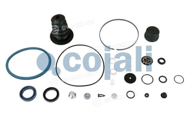 Cojali 6034024