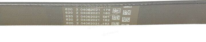 Continental 6PK1306