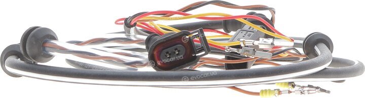Solgy 412036