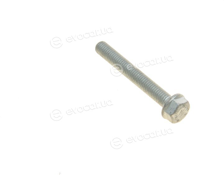 Borsehung B10808