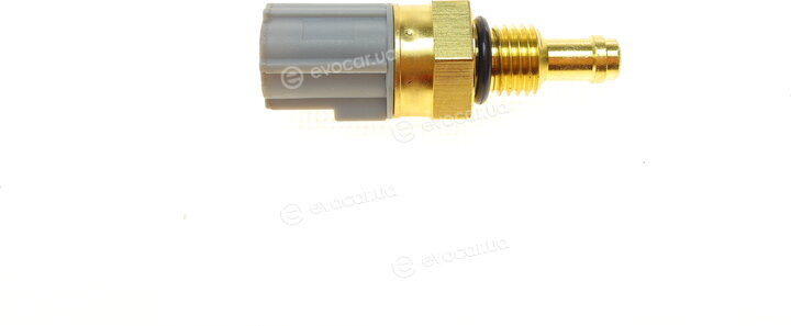 Blue Print ADBP720005