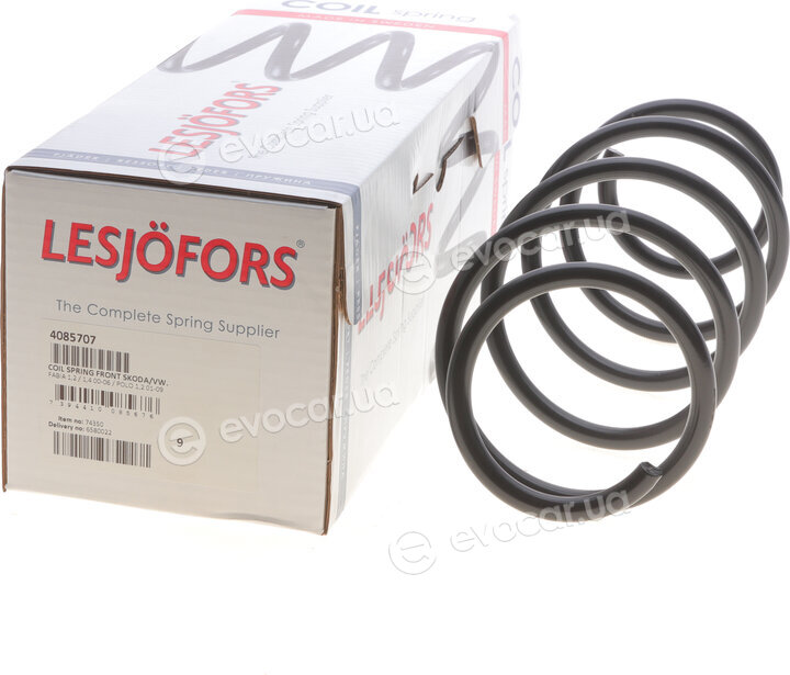 Lesjofors 4085707
