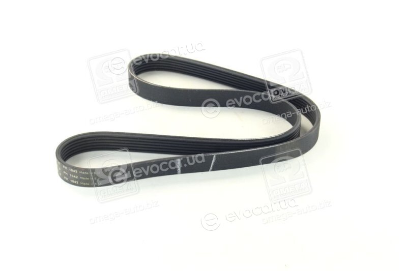 SKF VKMV 6PK1042